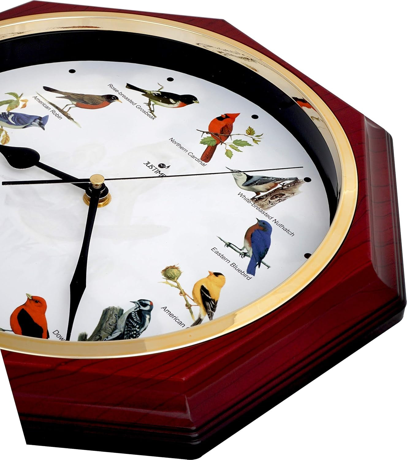 Unique 12 Northern Cardinal Bird'S Song Schoolhouse Pendulum Wall Clock Chimes Every Hour Melody Sweep Silent Movement (TCBD-PP-RB-RM Red Mahogany)